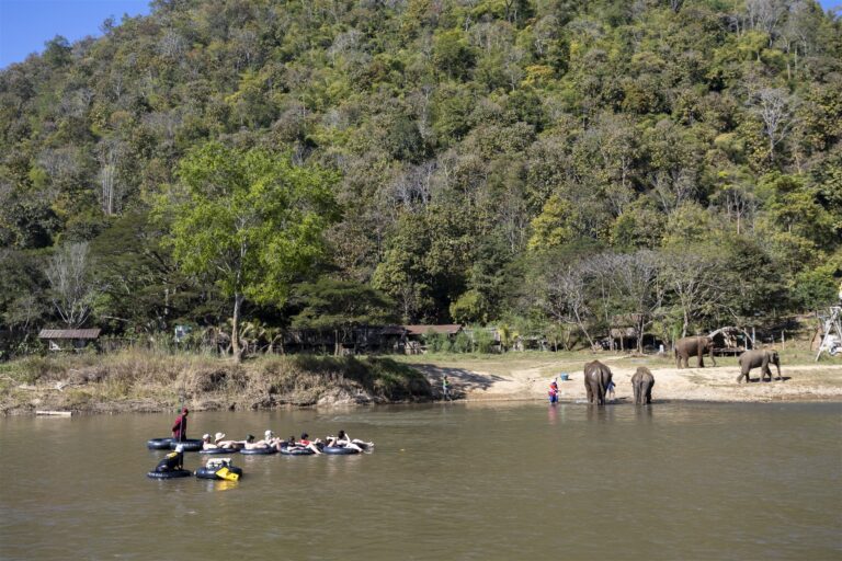River tubing past elephants on the Mae Taeng River in Chiang Mai