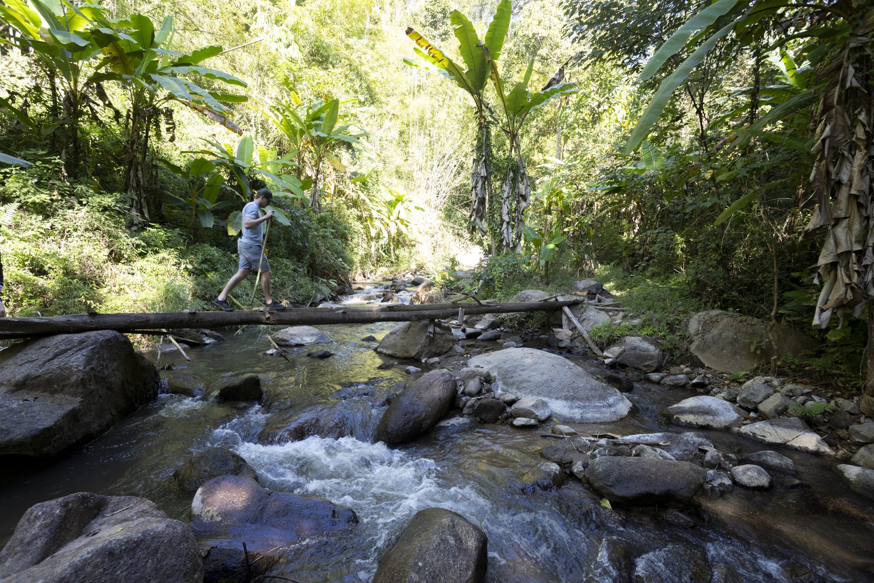 Hiking the Mae Taeng jungle trail, Chiang Mai