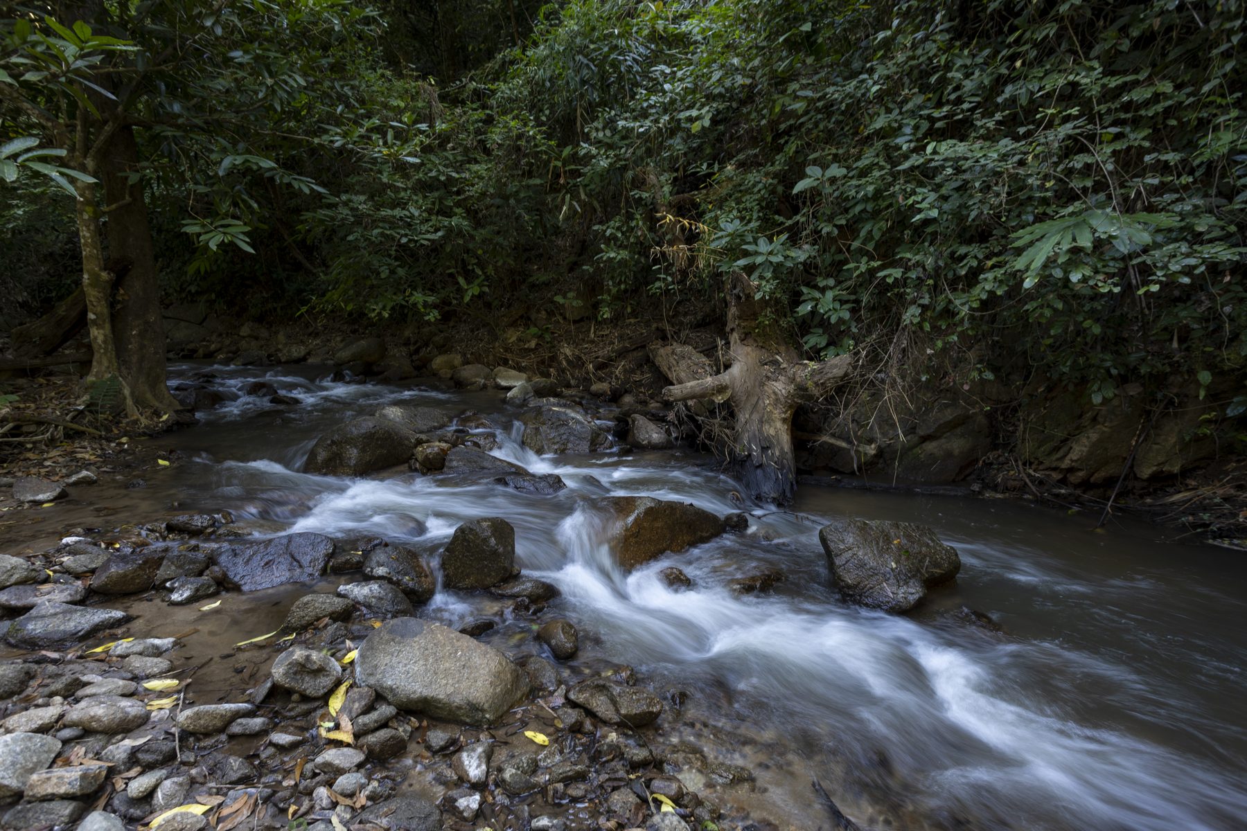 Stream crossing on the Mae Taeng jungle trek, Chiang Mai