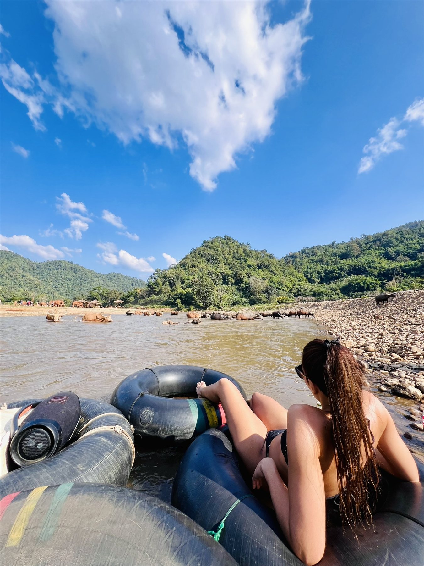 Relaxing on a river tube watching water buffaloes bathe in the Mae Taeng River, Chiang Mai