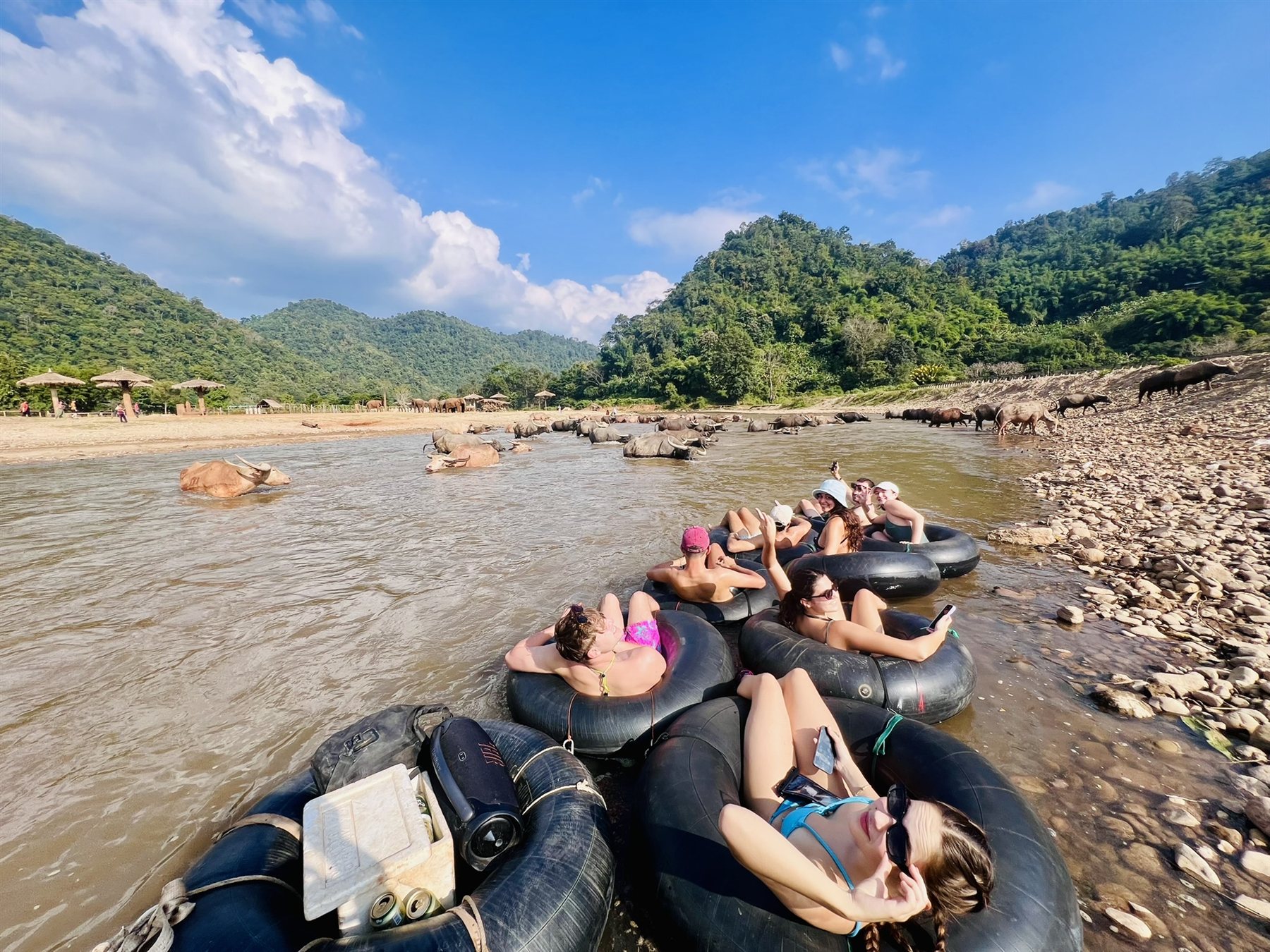 Group river tubing past water buffaloes under blue skies on the Mae Taeng River, Chiang Mai