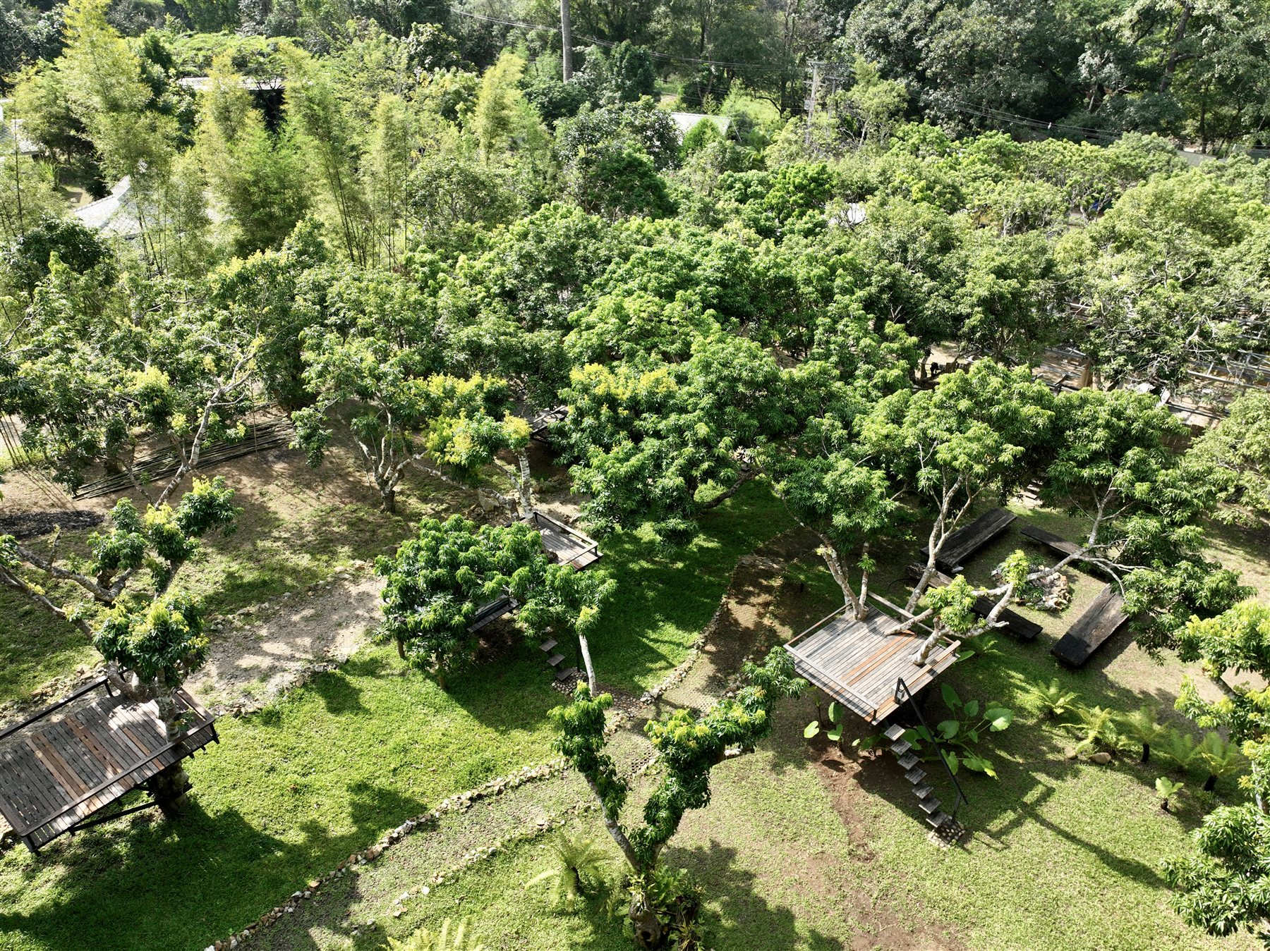 Garden and wooden tree platforms at Huay Kub Kab the Villa, Mae Taeng