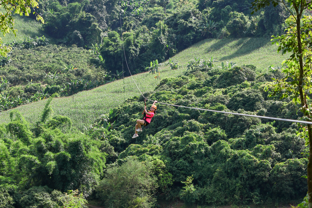 Guest ziplining above the jungle canopy in Mae Taeng, Chiang Mai