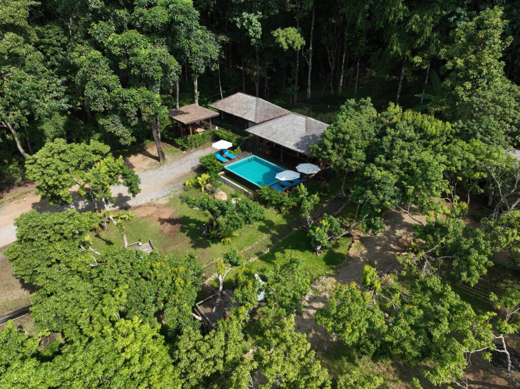 Aerial view of the villas and infinity pool in the forest at Huay Kub Kab